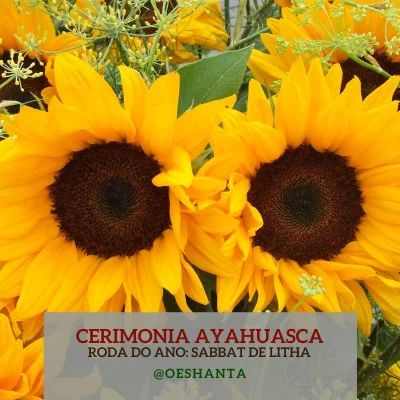 Cerimônia Ayahuasca - Sabbath de Litha