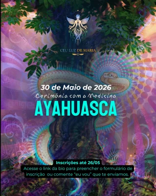 As Asas do Destino: O Vôo Livre da Alma sobre a Linha do Tempo